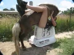 Fuck-hungry Canadian fellow enjoys getting fucked into ass by a horse outdoors 